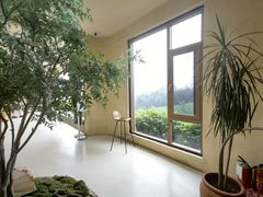 -白茶原·一片叶子