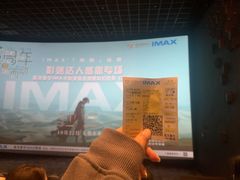 -星河寰宇IMAX影城(星河WORLD·COCO Park店)