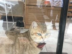 -OOAK设计师品牌概念店(新乐路店)