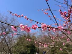 -凤凰沟景区