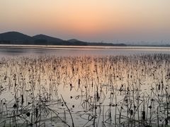 -东湖落雁景区