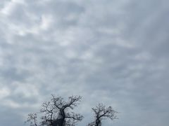 -无锡梅园公园