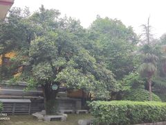 -桂林独秀峰王城景区