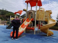 -铁山坪森林公园