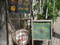 -猫色咖啡·猫咖