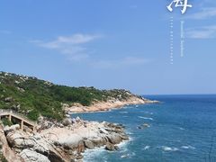 -广东惠东海龟国家级自然保护区