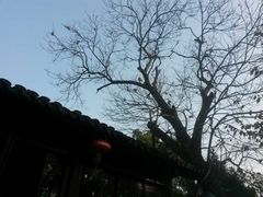 -兴福老面馆(寺路街店)