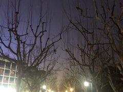 -杭州君悦酒店