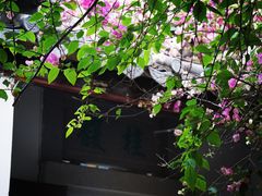 -深圳国际园林花卉博览园