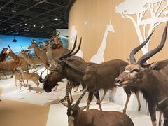 -陕西自然博物馆