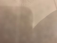 -糕小爱·动物奶油生日蛋糕定制(昆山总店)