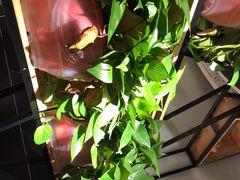 -要德火锅(鼓楼店)