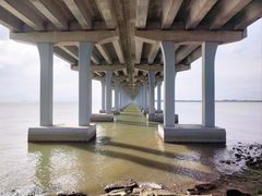 -宝安西湾红树林湿地公园