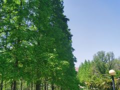 -黄河小浪底水利枢纽风景区