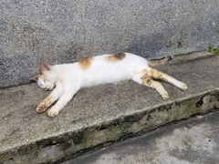 -广州兰圃