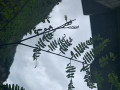 -太鲁阁公园