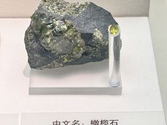 -天津自然博物馆