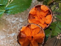 -樱之盛宴·蟹料理海鲜自助(前进大街店)