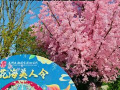 -苏州太湖国家湿地公园