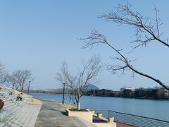 -羊山湖公园