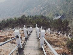 -石老人观光园