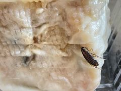 -白玉兰传统小吃