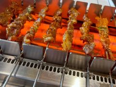 -邢氏老太太烤串(北兴街店)
