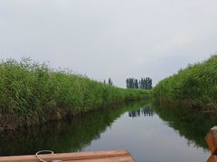 -白洋淀景区