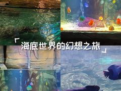 -重庆欢乐海底世界