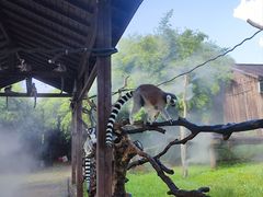 -宁波野生动物园