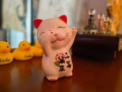-泰·SPA泰式古法按摩(红山店)
