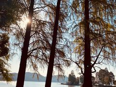 -东湖落雁景区