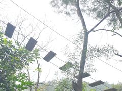 -芦仙山景区-飞越丛林探险乐园