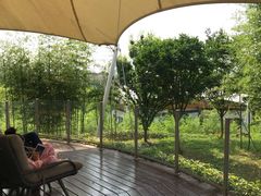 -帐篷客·溪龙茶谷度假酒店