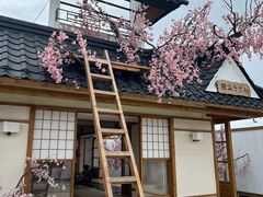 -Blue Concept Cafe&Farm·關於藍