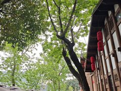 -恩阳古镇
