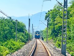 -北京鹫峰国家森林公园
