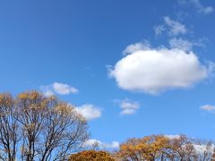 -御道口草原森林风景区