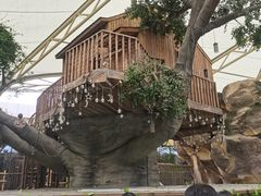 -杭州开元森泊度假乐园