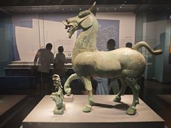 -广西壮族自治区博物馆