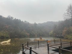 -天目湖山水园
