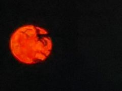 -春花秋色城市公园