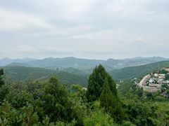-府君山公园