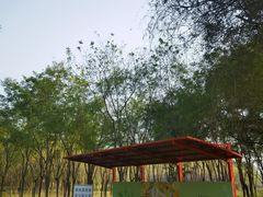-东郊湿地公园