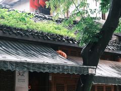 -中天楼