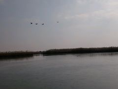 -盐城丹顶鹤湿地生态旅游区