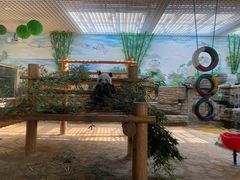 -西霞口神雕山野生动物世界