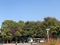 -洛阳市隋唐城遗址植物园