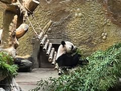 -常州淹城野生动物世界
