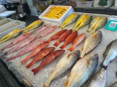 -东河市场
